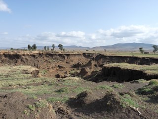 Gully erosion in Fafan region