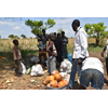 Environmental risk assessment & ecosystem mapping in South Sudan