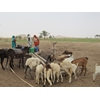 Acacia Water has started working on a new project in Darfur