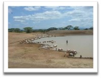 Millennium Water Alliance Kenia