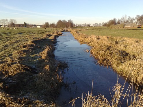 Optimizing water management in the Dutch polder system