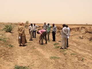 In the field in Sudan