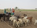 Water Infrastructure Darfur