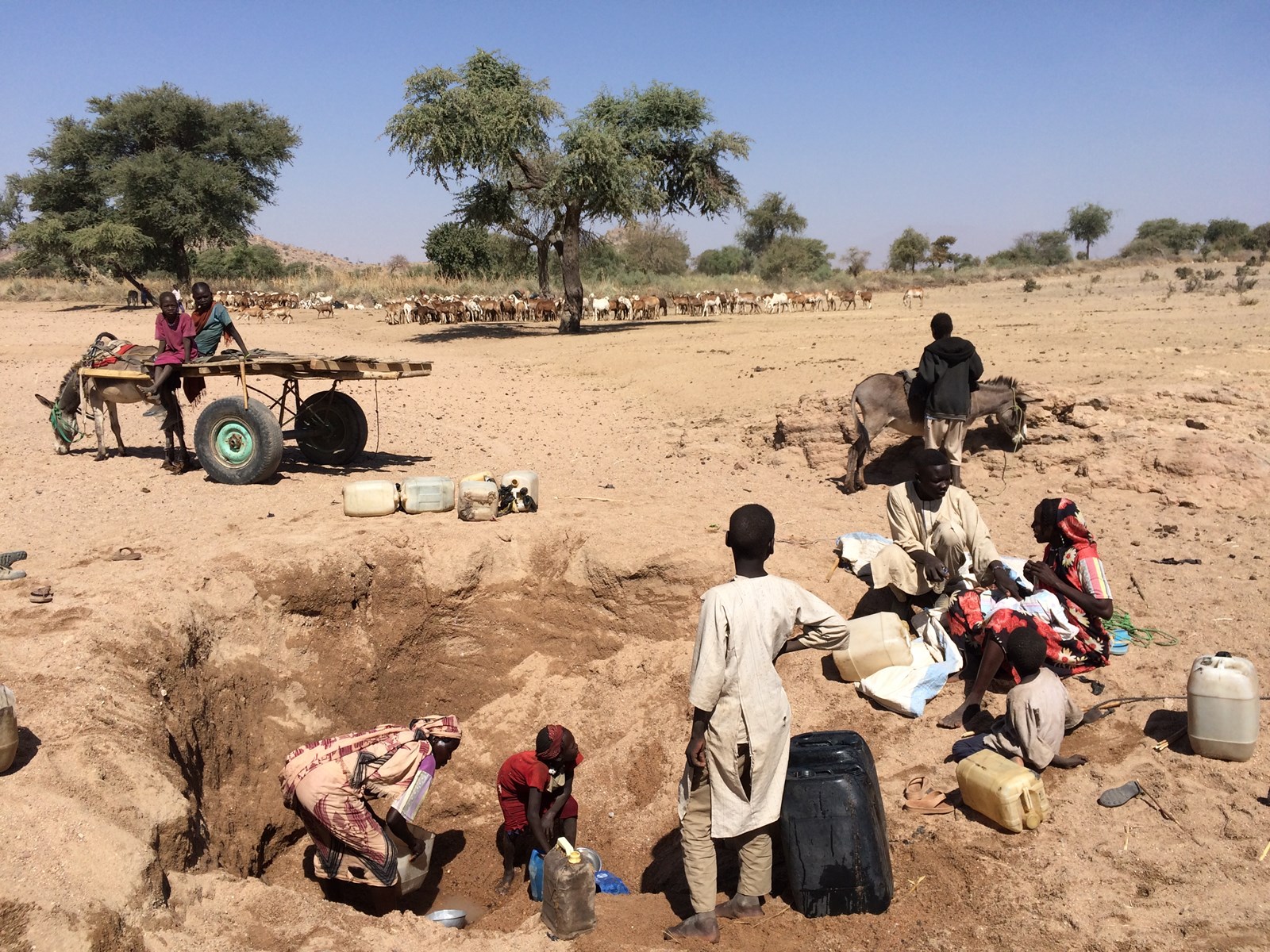 improving-natural-resources-management-in-sudan-acacia-water-uk