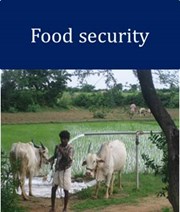 Food security